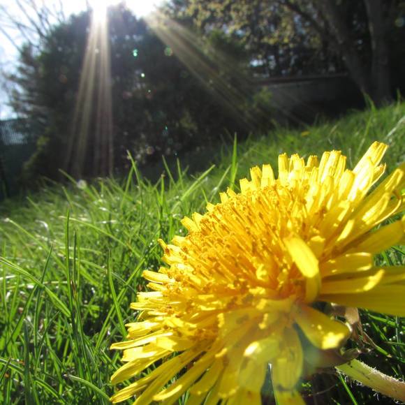 Meet your Posher, Karen - Picture 1 of 1